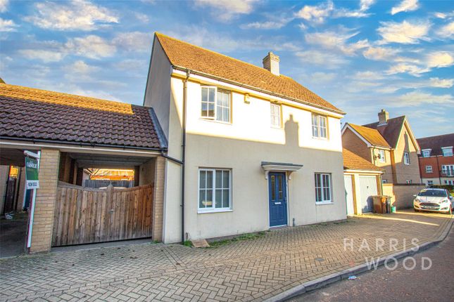 Thumbnail Detached house to rent in John Hammond Close, Colchester, Essex