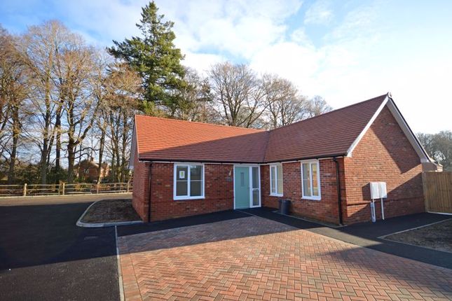 Thumbnail Detached bungalow for sale in Tennyson Way, Grayshott, Hindhead