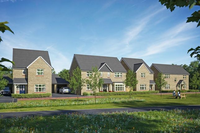 Plot 66, The Axminster, Lackham Place,, Chippenham photo 3
