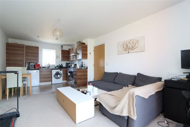 Flat 8, 151, Fen Street, Brooklands photo 3