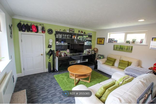 Bedroom / Study