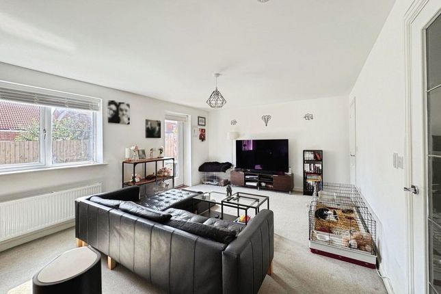 10, Geranium Drive, Morpeth photo 3