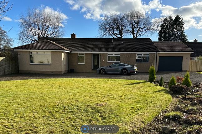 Thumbnail Bungalow to rent in Abbots Walk, Kirkcaldy