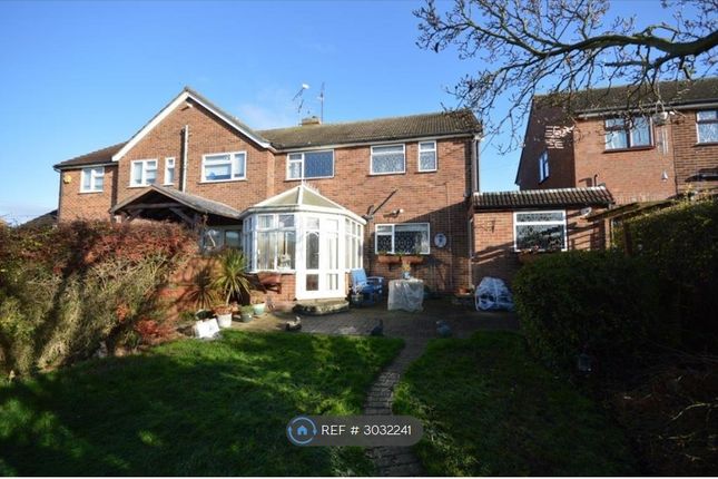 Lucas Avenue, Chelmsford photo 3