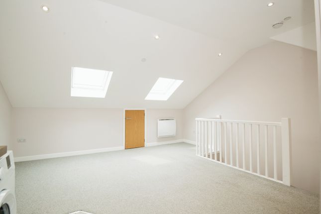 Clive Road, Cardiff photo 2