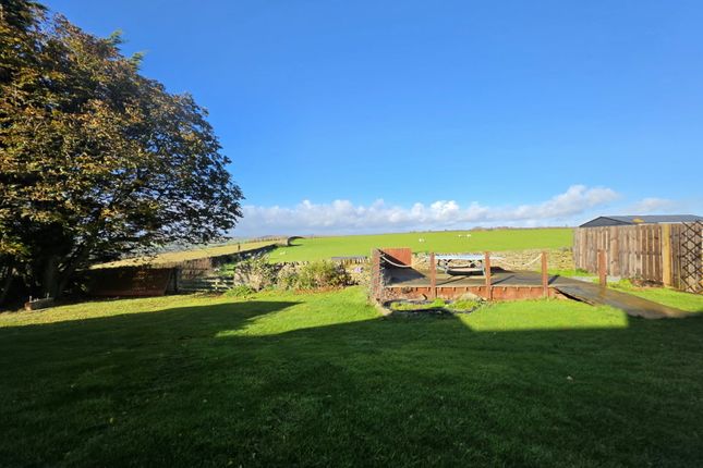 Hexham photo 2