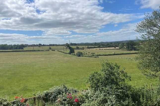 Middle Weald Farm, Calverton photo 2