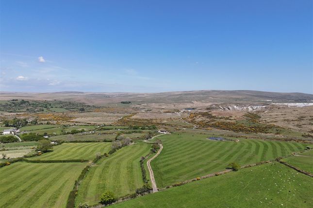 The Land