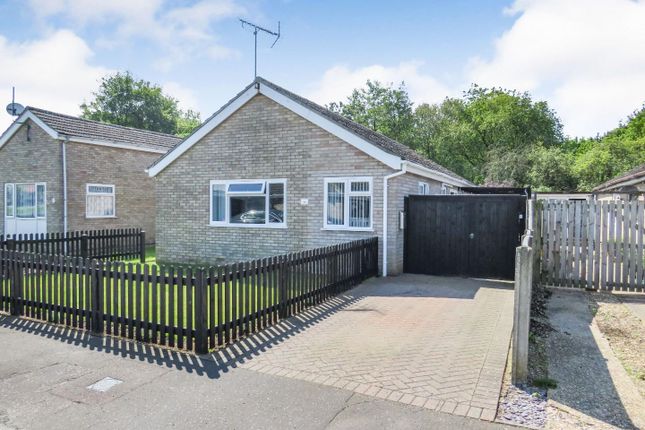 Thumbnail Detached bungalow for sale in Walnut Close, Foulden, Thetford