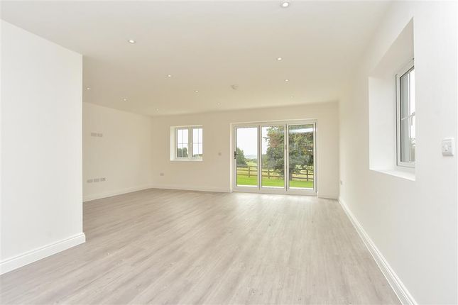 Kitchen/Living Area