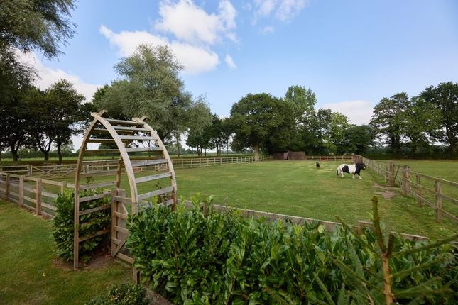 Equestrian property for sale in North Lane, Sykehouse, Goole
