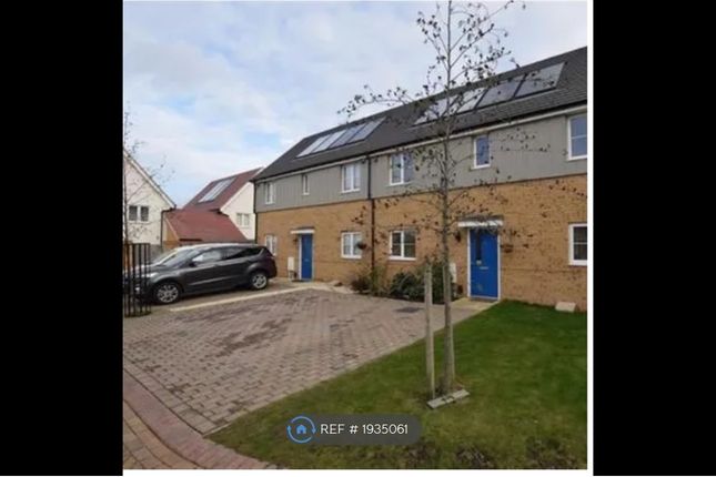 Thumbnail Semi-detached house to rent in Woodside Close, Grays