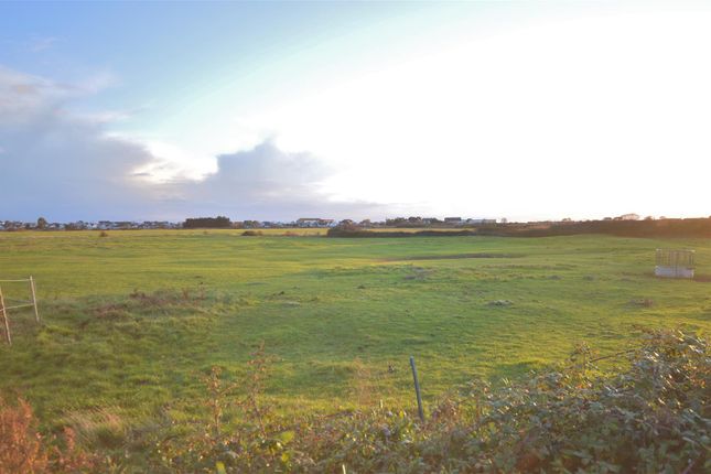 3, Aragon Close, Clacton-on-Sea photo 4