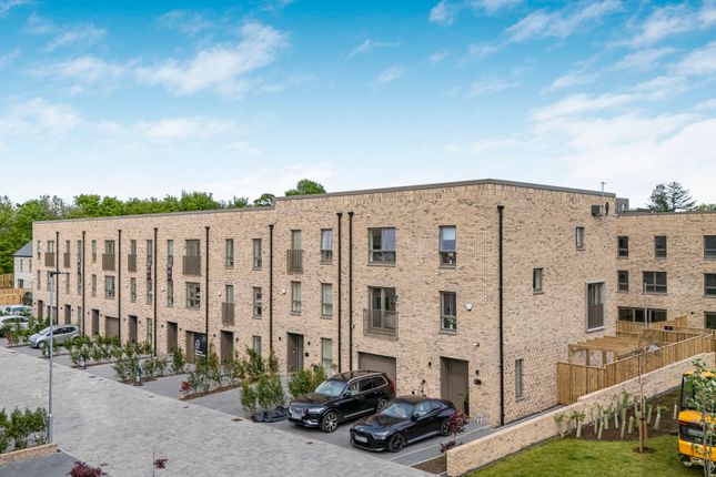 67-Web-Or-Mls-Plot 145 The Elder_71