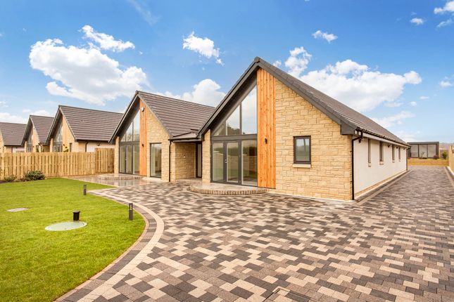 Thumbnail Detached bungalow for sale in Welsh, Letham Mains, Haddington, East Lothian