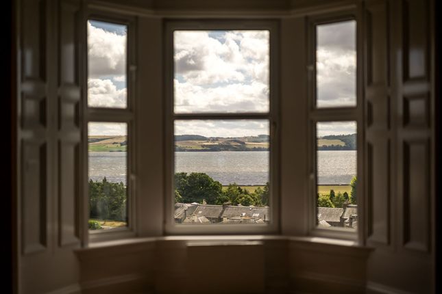 1/1, Dundee photo 3