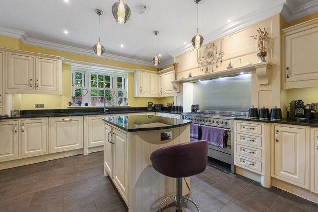 7 Bristowe Avenue, Chelmsford photo 3