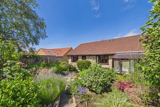 Valhalle, Blind Lane, Martock photo 2