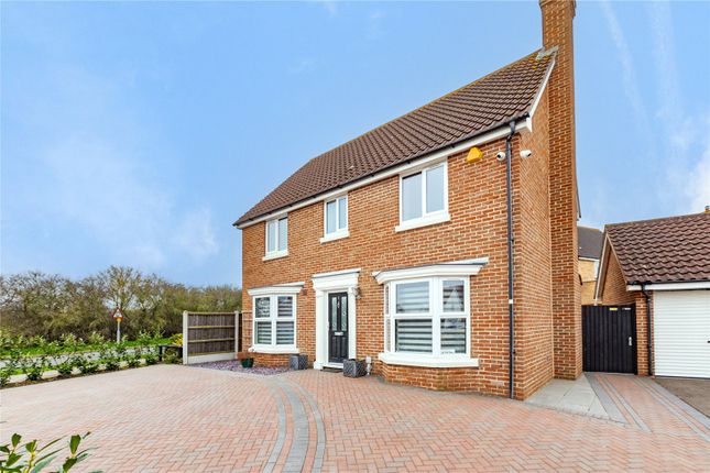 Thumbnail Detached house for sale in Westray Walk, Wickford, Essex