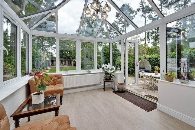 23, Sidney Road, Surrey photo 4