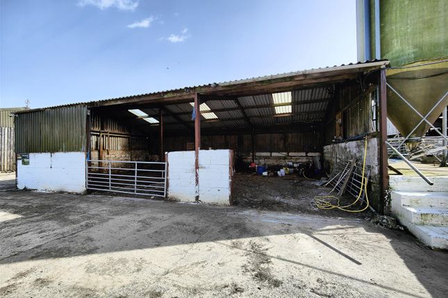 Loose  Cattle Shed