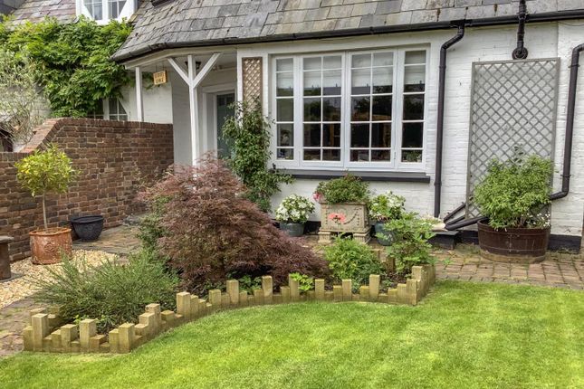Front Garden In Spring