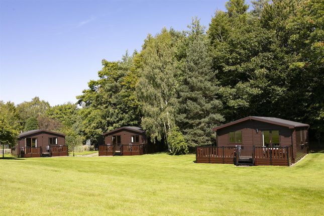 Thumbnail Leisure/hospitality for sale in TD8, Langlee, Roxburghshire