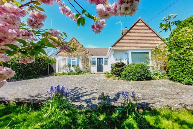 Thumbnail Bungalow for sale in Bramber Road, Seaford