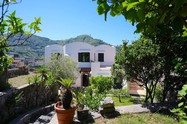 Thumbnail Villa for sale in Via Vico Fasolara, Ischia, Campania