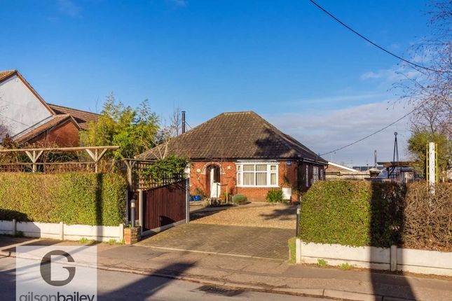 Thumbnail Detached bungalow for sale in The Street, Brundall