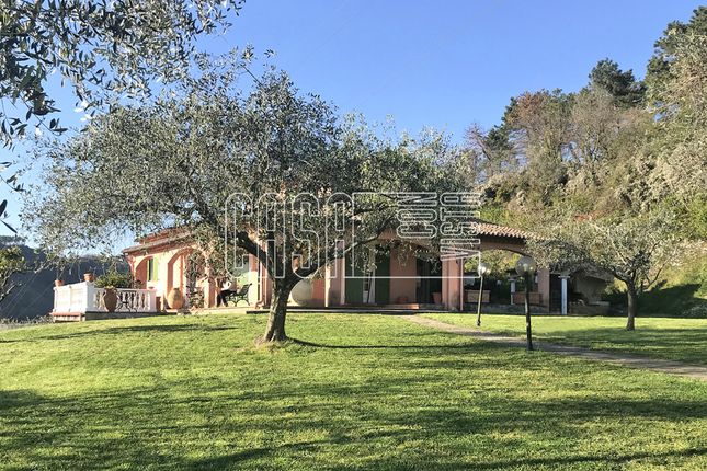 Thumbnail Villa for sale in Prulla, Sarzana, La Spezia, Liguria, Italy