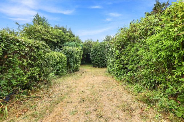 46, Prince Avenue, Essex photo 3