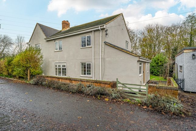 1385052169284Eccadef1