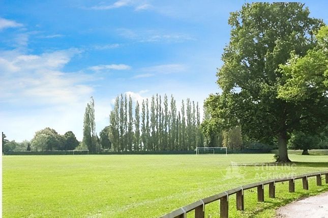 Local Park
