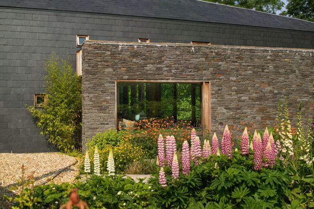 Ty Hedfan, Pontfaen, Brecon photo 3