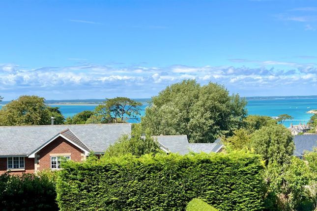 Trusley Cottage, York Lane, Totland Bay photo 2