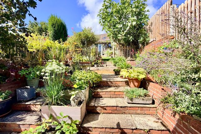 Hillview Terrace, Ilminster photo 4