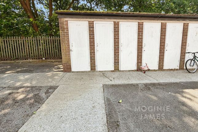 165, Fishguard Road, Cardiff photo 3
