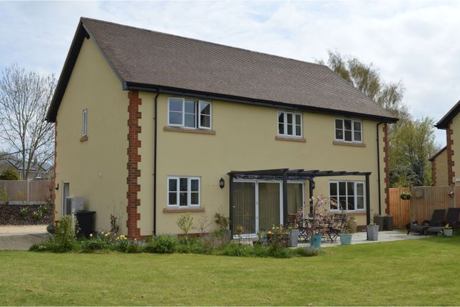 Thumbnail Detached house for sale in Mosterton, Beaminster