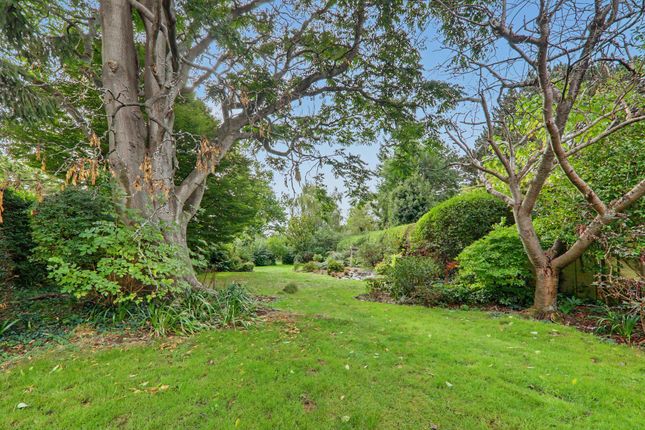 53 Furze Road, Worthing photo 4