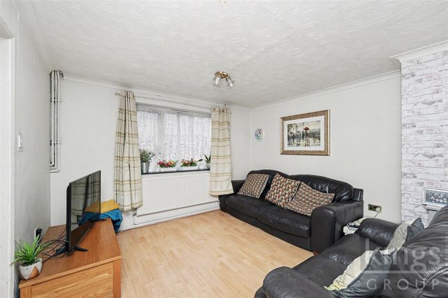 98, The Dashes, Harlow photo 2