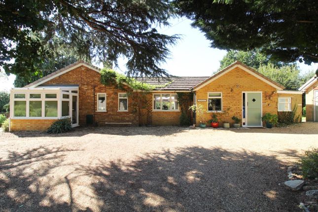 Thumbnail Detached bungalow for sale in Heath Road, Gamlingay, Sandy
