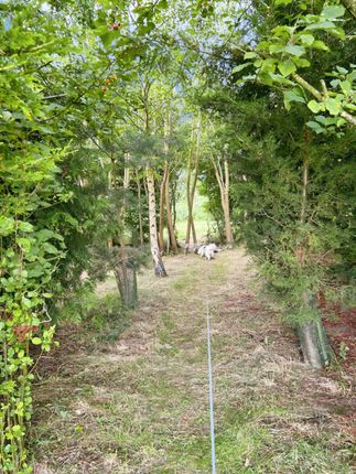 Willerby Brookwood, Rivulet Leisure Park, Low Road photo 4
