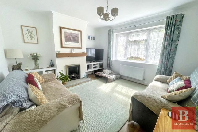 41, Hartfield Avenue, Brighton photo 4