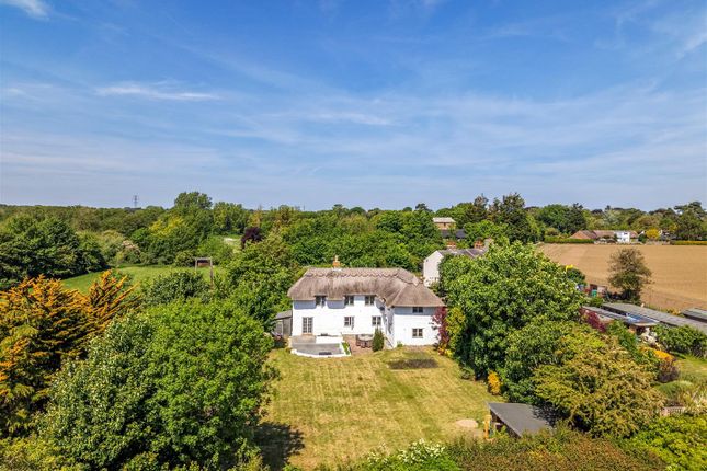 The Thatched Cottage, Mill Lane, Deal photo 2
