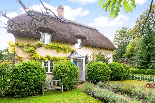 Thumbnail Cottage to rent in Stoke Charity, Winchester