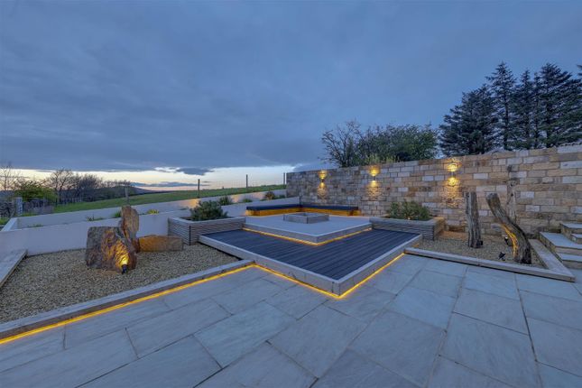 Rear Garden By Night