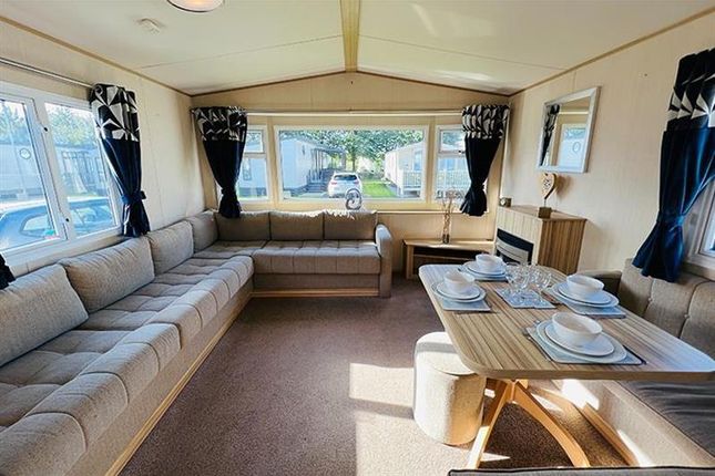 A.B.I Summer Breeze Deluxe