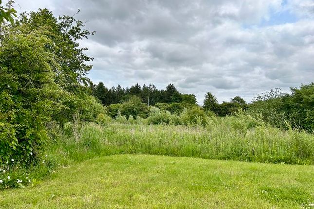 Green Area To The Front