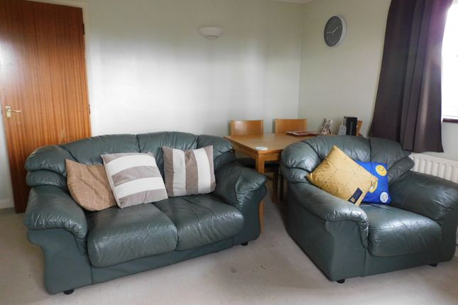 17 Pearl Court, Holbeach photo 3